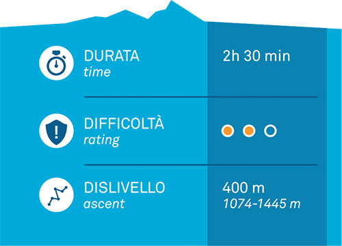 carb fortecherle