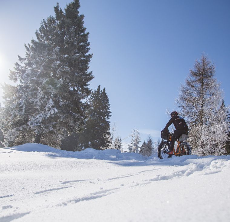 Istruttore bik