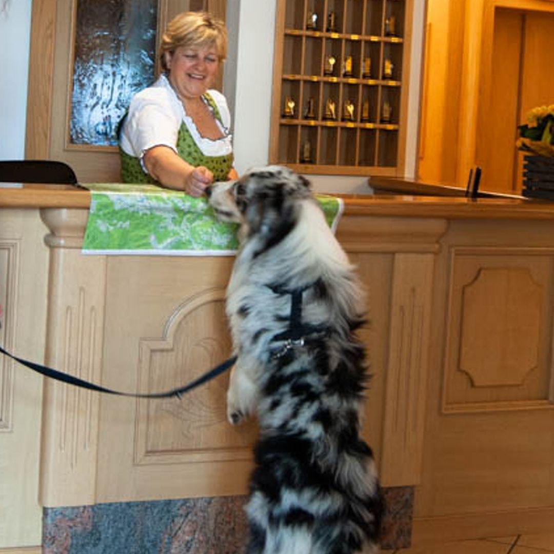 Albergo Due Spade - Hotel Pet Friendly